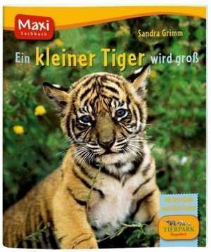 Ein kleiner Tiger wird groß de Sandra Grimm