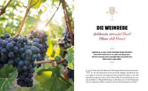 Wein de Oliver Kircher