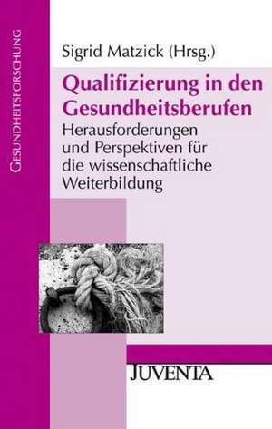 Qualifizierung in den Gesundheitsberufen de Sigrid Matzick