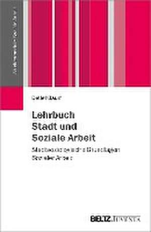 Lehrbuch Stadt und Soziale Arbeit de Detlef Baum