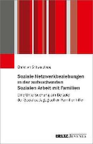 Soziale Netzwerkbeziehungen in der aufsuchenden Sozialen Arbeit mit Familien de Christian Schwarzloos