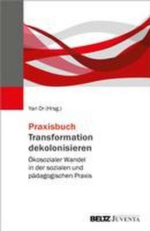 Praxisbuch Transformation dekolonisieren de Yari Or