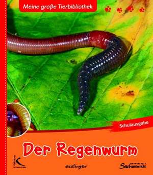 Der Regenwurm de Valérie Tracqui