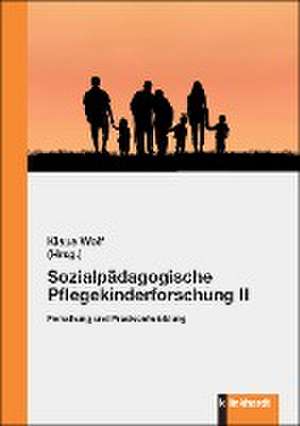 Sozialpädagogische Pflegekinderforschung II de Klaus Wolf