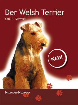 Welsh Terrier de Falk Siewert