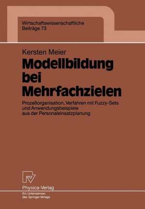 Modellbildung bei Mehrfachzielen: Prozeßorganisation, Verfahren mit Fuzzy-Sets und Anwendungsbeispiele aus der Personaleinsatzplanung de Kersten Meier