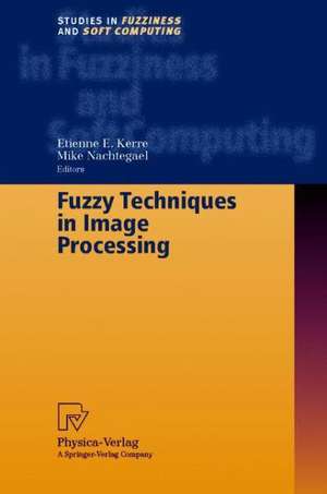 Fuzzy Techniques in Image Processing de Etienne E. Kerre