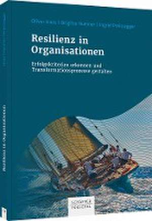 Resilienz in Organisationen de Oliver Haas