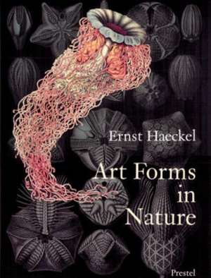 Art Forms in Nature: The Prints of Ernst Haeckel de Ernst Haeckel