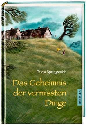 Das Geheimnis der vermissten Dinge de Tricia Springstubb