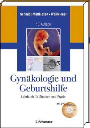 Gynäkologie und Geburtshilfe de Heinrich Schmidt-Matthiesen