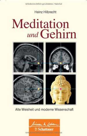 Meditation und Gehirn de Heinz Hilbrecht