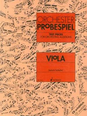 Orchester-Probespiel Viola de Eckart Schloifer