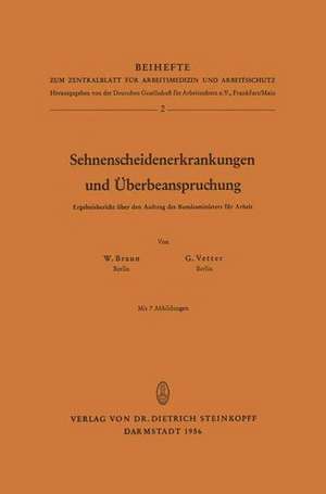 Sehnenscheidenerkrankungen und Überbeanspruchung: Ergebnisbericht über den Auftrag des Bundesministers für Arbeit de W. Braun