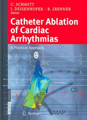 Catheter Ablation of Cardiac Arrhythmias: A Practical Approach de C. Schmitt