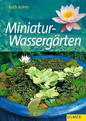 Miniatur-Wassergärten de Ruth Kohle