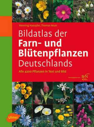 Bildatlas der Farn- und Blütenpflanzen Deutschlands de Henning Haeupler