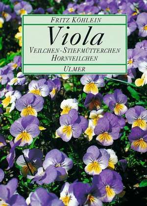 Viola de Fritz Köhlein