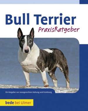 Bull Terrier de Bethany Gibson