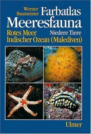 Farbatlas Meeresfauna de Werner Baumeister