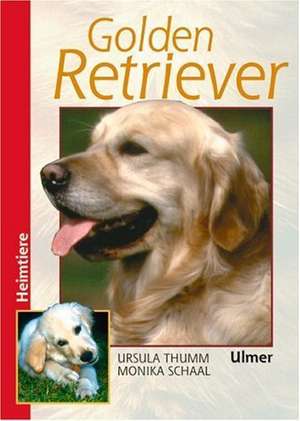 Golden Retriever de Ursula Thumm