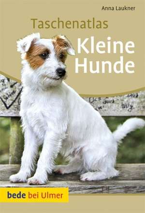 Taschenatlas Kleine Hunde de Anna Laukner