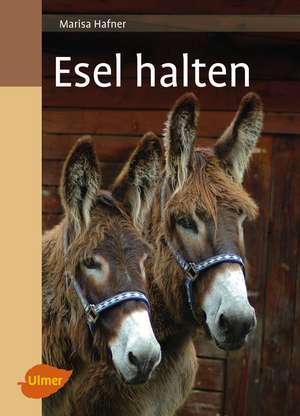 Esel halten de Marisa Hafner