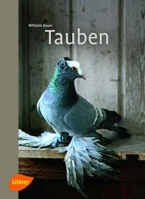 Tauben de Wilhelm Bauer