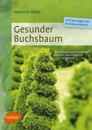 Gesunder Buchsbaum de Heinrich Beltz