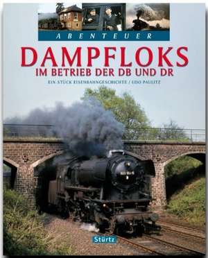 Dampfloks im Betrieb der DB und DR de Udo Paulitz