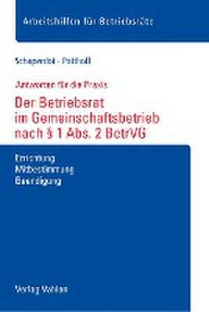 Der Betriebsrat im Gemeinschaftsbetrieb nach § 1 Abs. 2 BetrVG de Susanne Schaperdot