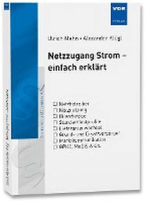 Netzzugang Strom - einfach erklärt de Ulrich Mahn