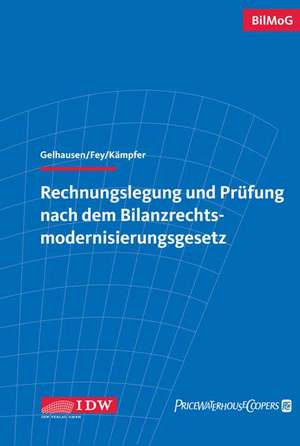 Rechnungslegung und Prüfung nach dem Bilanzrechtsmodernisierungsgesetz de Hans-Friedrich Gelhausen