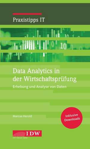 Data Analytics in der Wirtschaftsprüfung de Jasmin Vahidi