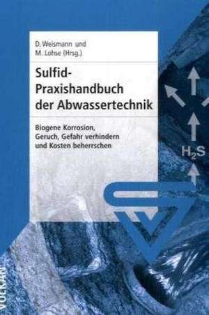 Sulfid-Praxishandbuch der Abwassertechnik de Dieter Weismann