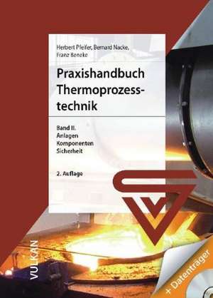 Praxishandbuch Thermoprozess-Technik 2 - mit DVD de Franz Beneke