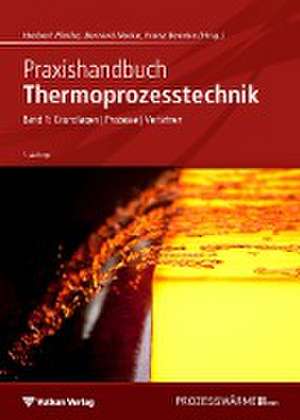 Praxishandbuch Thermoprozesstechnik Band 1 de Herbert Pfeifer