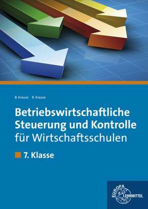 Betriebswirtschaftliche Steuerung und Kontrolle für Wirtschaftsschulen de Brigitte Krause