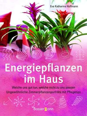 Energiepflanzen im Haus de Eva Katharina Hoffmann