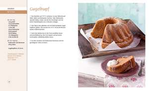 Schnelle Kuchen! de Luise Lilienthal