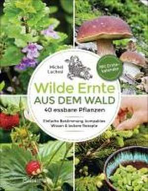 Wilde Ernte aus dem Wald - 40 essbare Pflanzen - einfache Bestimmung, kompaktes Wissen und leckere Rezepte de Michel Luchesi