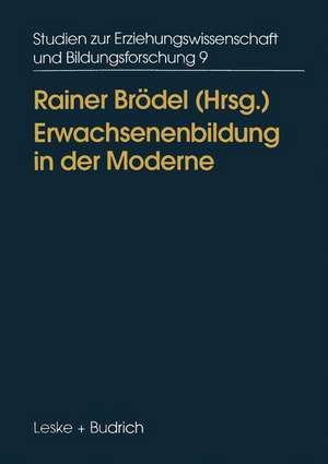 Erwachsenenbildung in der Moderne: Diagnosen, Ansätze, Konsequenzen de Rainer Brödel