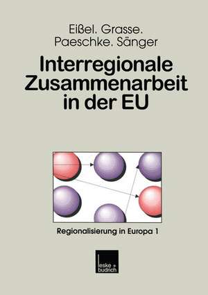 Interregionale Zusammenarbeit in der EU: Analysen zur Partnerschaft zwischen Hessen, der Emilia-Romagna und der Aquitaine de Dieter Eißel