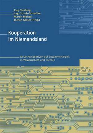 Kooperation im Niemandsland: Neue Perspektiven auf Zusammenarbeit in Wissenschaft und Technik de Jörg Strübing