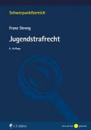 Jugendstrafrecht de Franz Streng