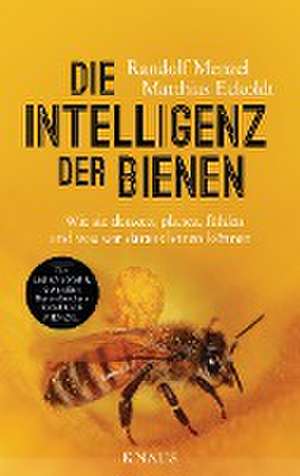 Die Intelligenz der Bienen de Randolf Menzel