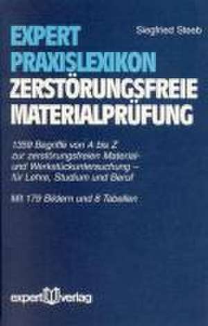 Expert Praxislexikon zerstörungsfreie Materialprüfung de Siegfried Steeb