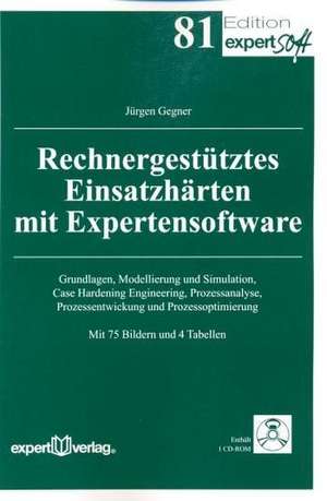 Rechnergestütztes Einsatzhärten mit Expertensoftware de Jürgen Gegner