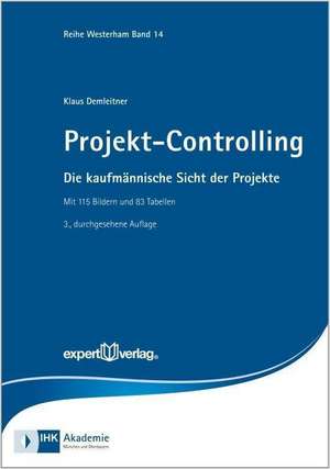 Projekt-Controlling de Klaus Demleitner