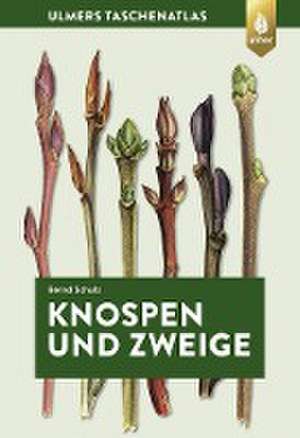 Knospen und Zweige de Bernd Schulz